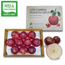 경북 영주 엔부사과 속빨간 사과 10kg (20과이내) GAP 저탄소인, 단품