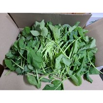 #가락시장 나물이네# 당일경매 제주유채나물400g 청정지역제주 비타민풍부한 유채나물/오후2시이전주문당일출고99%/주말 공휴일제외, 400g