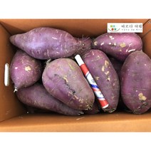 바르다야채 튀김용 요리용 꿀고구마(왕) 3kg 5kg 10kg, 취청오이(특) 5kg
