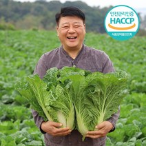 [입점특가] HACCP 해남 특급 절임배추, 10kg, 수요일 출고 목요일 도착