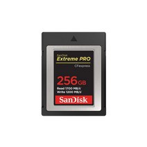 Extreme Pro CFexpress Card 256GB SDCFE-256GB-GN4NN 타입B