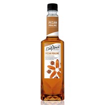 qs)다빈치 피칸 프랄린 시럽 750ml
