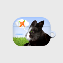 앤커버 CARROT THINKING RABBIT(에어팟시리즈)