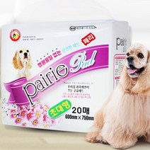 와우 와우(WOW) 반려견 초대형 페리 패드 20매, 1개