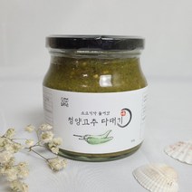 잇츠딜리셔스 청양고추 다대기 500g 다짐장 고추장물, 단품