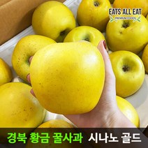 이츠올릿 경북 황금 꿀사과 시나노 골드 5kg 정품 소과 22-24과 노란 스위트 사과 청송 밀양 얼음골, 상세페이지 참조