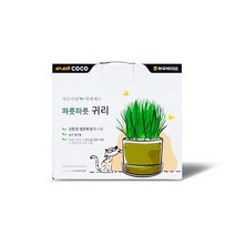 허브펫 냥이 헤어볼배출 케어 국산 귀리 재배세트 개다래나무 (6617486)