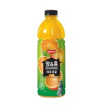 롯데 팜앤홈 제주감귤 1.2L