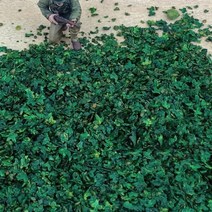 밀리터리 프라모델 스케일 모델 장면 떨어지는 단풍 가을 나무 축소 DIY 식물 조경 플랫폼 군사 군인 빌딩 완구, DG