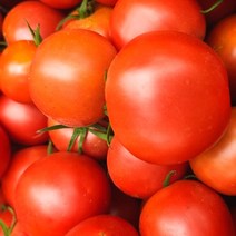 순이네 무농약 찰토마토 3kg / 5kg 산지직송 완숙 토마토 가바토마토, 가바 무농약 찰토마토 3kg