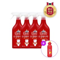 LG생활건강 홈스타 뿌리는 곰팡이 싹 500ml x4개 + 1L, 단일옵션