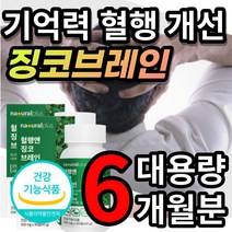 [대용량] 브레인 징코 포스파티딜세린 노화 인지력 기억력 저하 개선 에 도움 은행잎추출물 빌로발라이드 징코라이드, 1개, 6개월/90정x2개