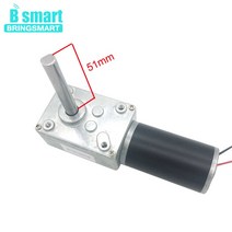 싱크로너스 모터 Bringmart-5840-31ZY 12V DC 모터 반전 감속 자동 잠금 연장 샤프트 24V 웜 기어드 고 토, 16 24v 12rpm_05 package R