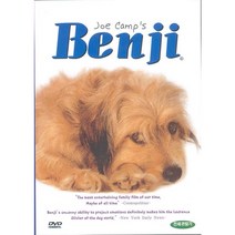 DVD 벤지 (Benji)-조캠프감독. 가족영화