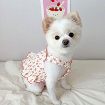 헤어 귀여운 애완 동물 드레스 애완견 옷 고양이 멜빵 의류 개 작은 치와와 여름 요크셔 의상 소형견용, [05] XL, [03] Pink