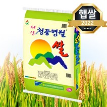 갈산농협 2021년 햅쌀 청풍명월쌀20kg, 1포