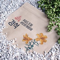 경석 가벼운 화분 분갈이흙 다육이 선인장 스투키 화산송이석 세립 소립 중립, 중립(6~9mm) 2L, 2000ml, 1개