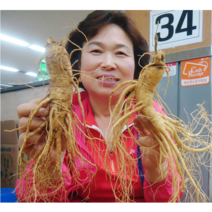 금산수삼시장 인삼즙 담금주 세척삼 오쿠홍삼용 난발삼 파지 효능 500g, 2-1. [세척안함] 9~10뿌리 500g, 1개