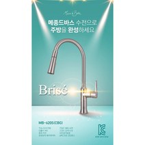 고급 주방수전 / 입수전 / 수입 주방수도 / 메종드바스 / 브리제 MB-620S, 1. 크롬
