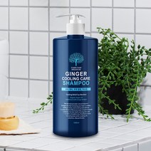 아르간오일 진저 쿨링 멘톨 케어 쿨 대용량 샴푸, 상세페이지 참조, 상세페이지 참조, 상세페이지 참조