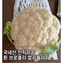 [국내산/국산] 산지직송 콜리플라워 컬리플라워 500g 1kg 컬리 콜리 플라워 브로콜리 하얀 하얀브로콜리 생 흰브로콜리 화이트 흰, 1개