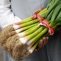 풋마늘 2kg, 단품