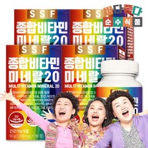 순수식품 종합비타민 미네랄 20종 12개월분 4박스 멀티비타민, 없음