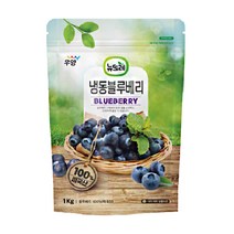 SOM 냉동과일 냉동 블루베리 1kg, 1팩