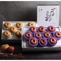 [설 이후발송] 사과배1+1 혼합과일세트, 설특가[고급] 정성가득 사과 5과 배5과 품질보장