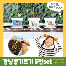 강낭콩키우기 새싹 식물키우기 5인용 식물관찰일지 씨앗 화분 포함 초등학교 유치원 어린이