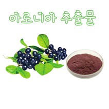 소율 아로니아 농축 추출물 파우더 건강분말, 10:1, 1봉, 200g