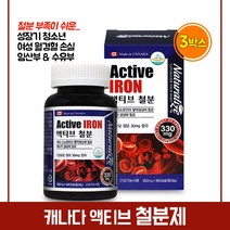 액티브 철분 영양제 성장기 어린이 청소년 수험생 여성 임신 준비 초기 임산부 출산후 산모 수유부 철분제 캡슐 보충제 건강 기능식품, 330mg, 3박스