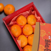 신선식품(브랜드없음) [온도씨]제주 천혜향 선물세트 2.5kg 중과 10-16과내외, 단품없음