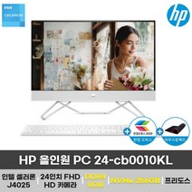 HP 올인원 PC 24-cb0010KL 일체형 PC 24인치 인강용 가성비 사무용 (8GB+256GB 변경), 16GB, NVMe 256GB