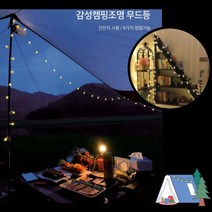 다용도 실내외 감성인테리어 캠핑 LED전구 리모컨 포함 감성캠핑전구 무드등 차박용품, LED앵두전구100구 10미터(건전지형 리모컨포함)