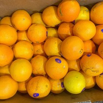 직수입 고당도 네이블 오렌지 88과 중과 20개 40개 17kg, 네이블 오렌지 40개