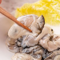 통영 산지직송 생굴 1kg-5kg 당일작업 2022년 첫 출하 제철 생굴 통영석화, 깐 생굴 2kg