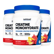 뉴트리코스트 미분화 크레아틴 파우더 과일펀치맛 500g X 3병 모노하이드레이트