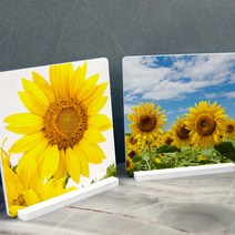 아트박스/꾸밈 tm401-스탠드액자2P_하늘바람해바라기, 상세 설명 참조