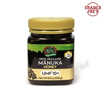 마더 어스 뉴질랜드마누카꿀 MOTHER EARTH UMF10+250g, 1개