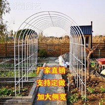 정원 가든아치 단독주택 꾸미기 녹 방지 철제 아치 포도 나무 꽃 선반 야외 장식 아크 게이트 울타리 안뜰 바닥 야채 창고, [19]  가로/세로/가로 300x220x40, [01] 중간