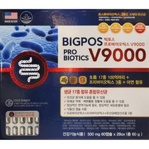약국정품 고급 유산균 빅포스 프로바이오틱스V9000 120캡슐 4개월분