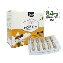 파이오라 뉴질랜드 프로폴리스 7000mg 120캡슐 유칼립투스 비타민D 함유 구강내 향균 항산화 항암 작용 면역증강 영양제, 1통