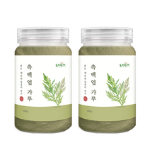 동의한재 국산 측백엽 측백잎 분말 가루 300g x 2통