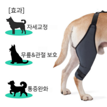 강아지 슬개골 탈구 무릎 고관절 다리 보호대 보조기, (옵션4)왼발(뒷다리용)2XL