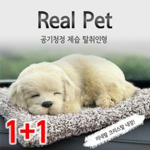 1+1숯품은 강아지 제습 탈취인형 차량용 공기정화, 골든리트리버(미니)_푸들(미니)
