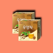 담터 구수한 우엉차 100T 티백 2팩 (총합200T)