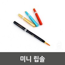 섬세한 입술 메이크업 솔 미니 립브러쉬 립솔 립붓, 상세페이지참조, 랜덤