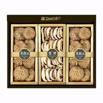 표고아빠 참나무 한국산 표고버섯 선물세트[웰빙4호](300g)(부직가방+택배박스), 1세트