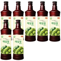 광야식품 매실청 베이스 970ml, 7개